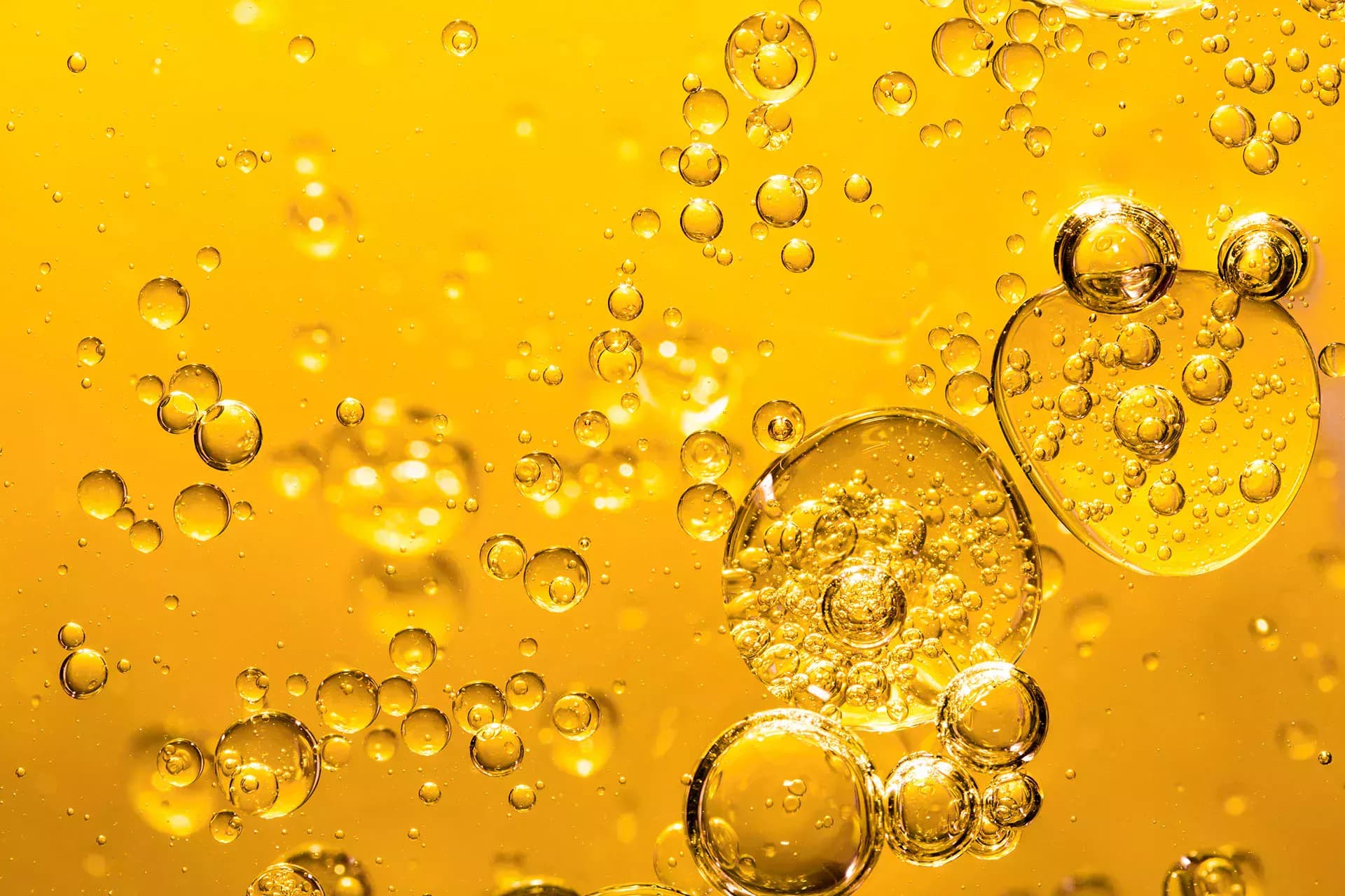 Bechem food-grade lubricant NSF H1 for food and pharma